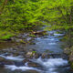 Spring Cascades