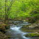 Spring Flow