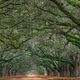 Wormsloe Plantation