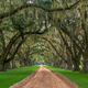 Enchanting Entry