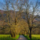 Sparks Lane