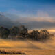 Cades Cove Fog