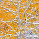 Fall-Winter-Mix
