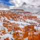 Bryce Winter