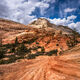 Zion Orange