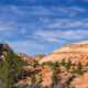 Zion Panoramic View