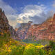 Canyon Colors