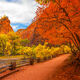 River Trail