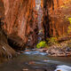 Narrow Path