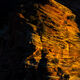 Zion Shadows