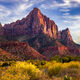 The Watchman