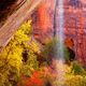 Zion Colors
