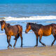 Beach Bums