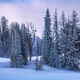 Surprise Snow
