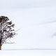 Cold And Lonely