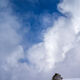 Winter Burst