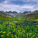 Colorado Spring