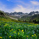Basin Colors
