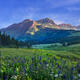 Bellview Spring
