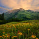 Mountain Morning