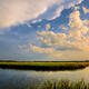 Around The Marsh