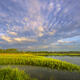 Marsh Point