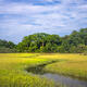 Marsh Curves