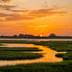 Amelia Sunrise
