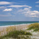 Ocean Dunes
