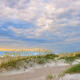 Beach Wonder