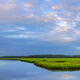 Morning Marsh