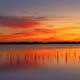 Intercoastal Sunrise