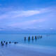 Soft Blue