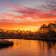 Ochlockonee Sunrise