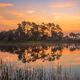 Web Lake Sunrise
