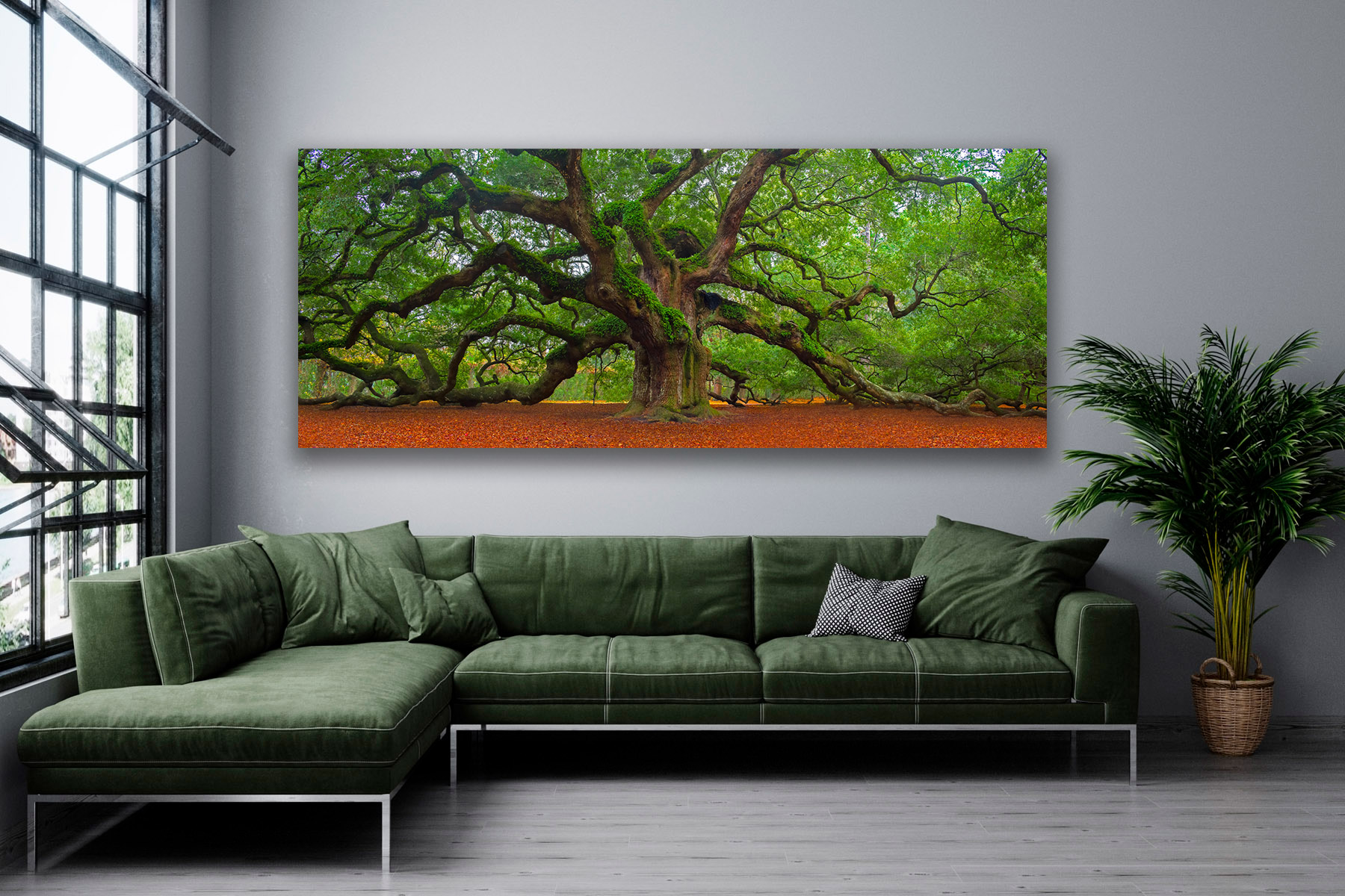Angel Oak Tree as a fine art photo print on a living room wall