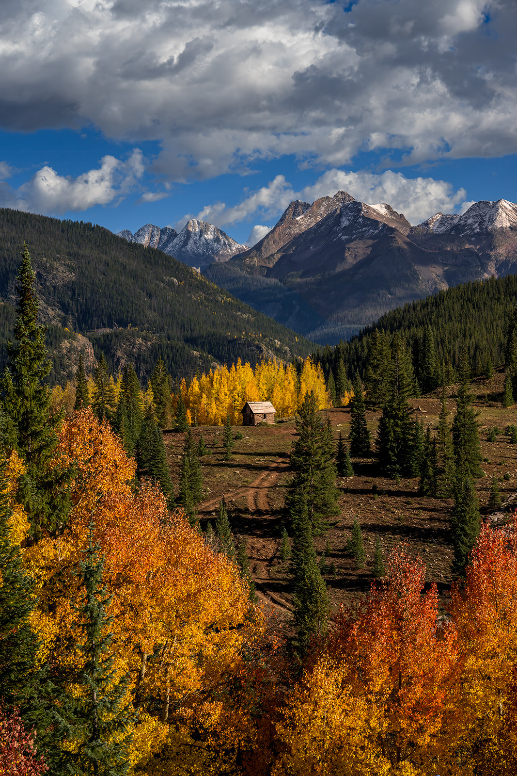 Isolation small cabin isolated in the colorado mountains with fall color