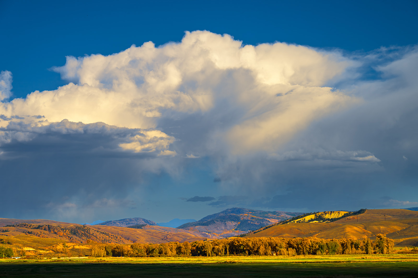 Fall Storm Storm clouds rising above an open field with trees with fall colors