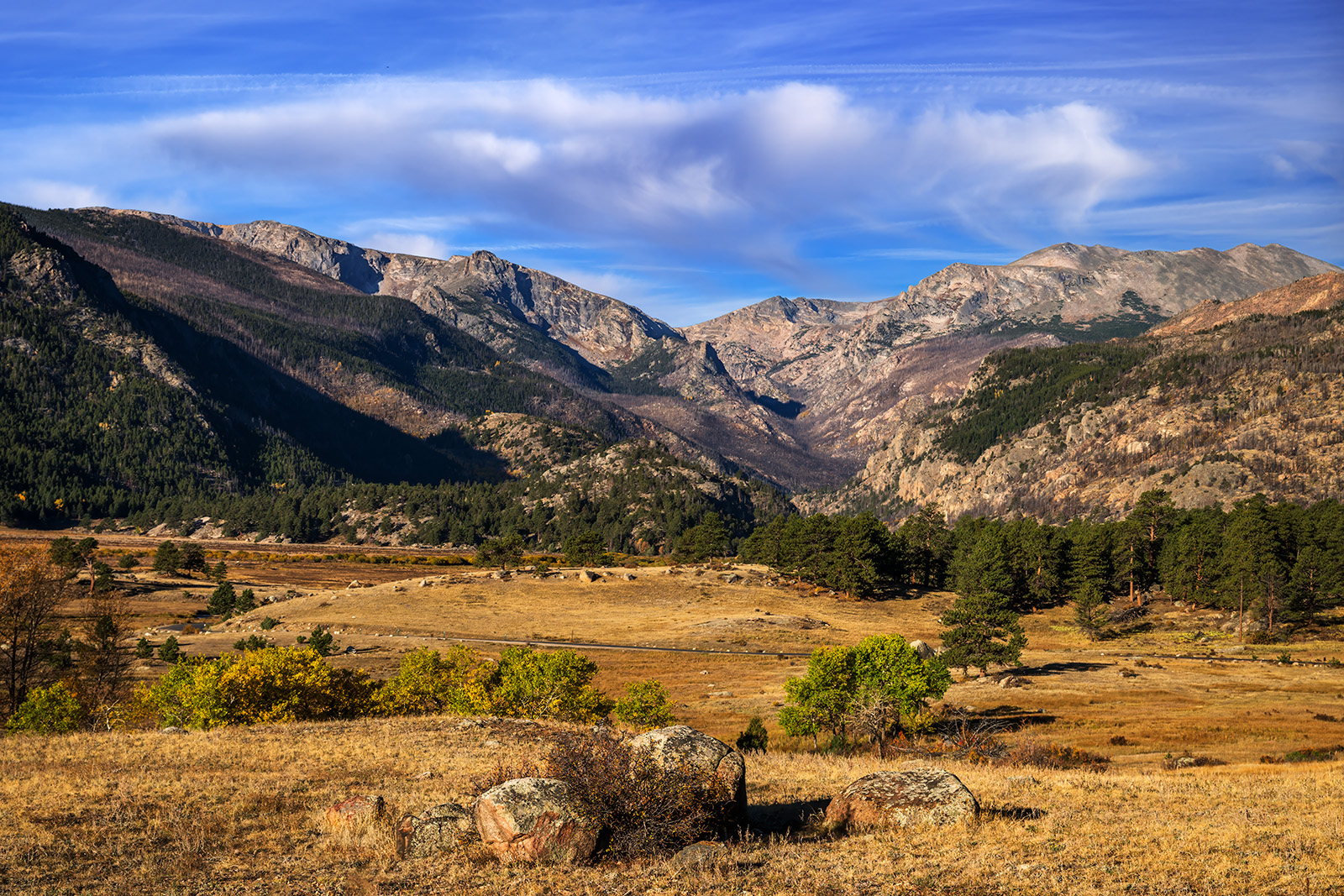 Mountain Meadow Morning light on a meadow with fall color with mountains in the background in rocky mountain national park