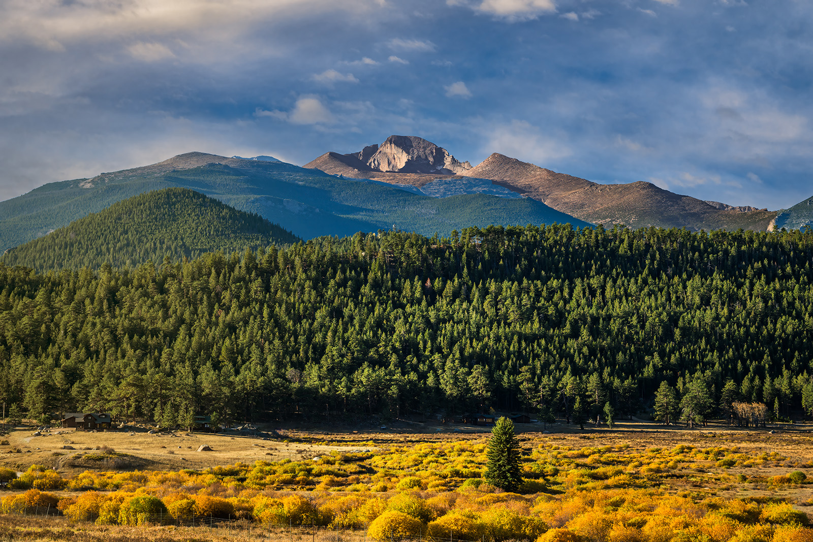 Little Green Tree Sunrise light on a meadow and the mountain called Long's Peak in Rocky Mountain National Park