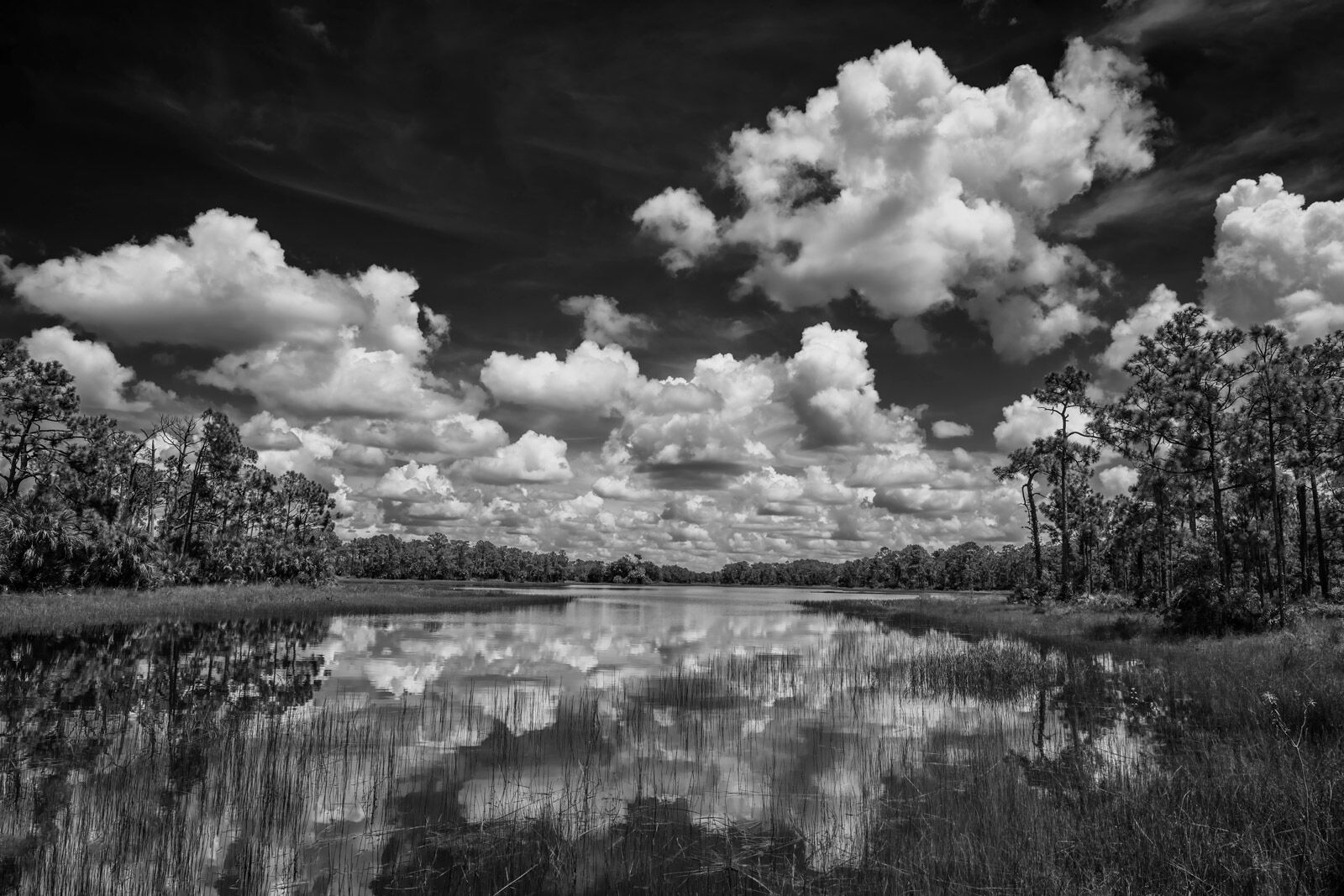 Lake Reflections - Black and White black and white view of big white clouds reflecting in a calm lake in florida