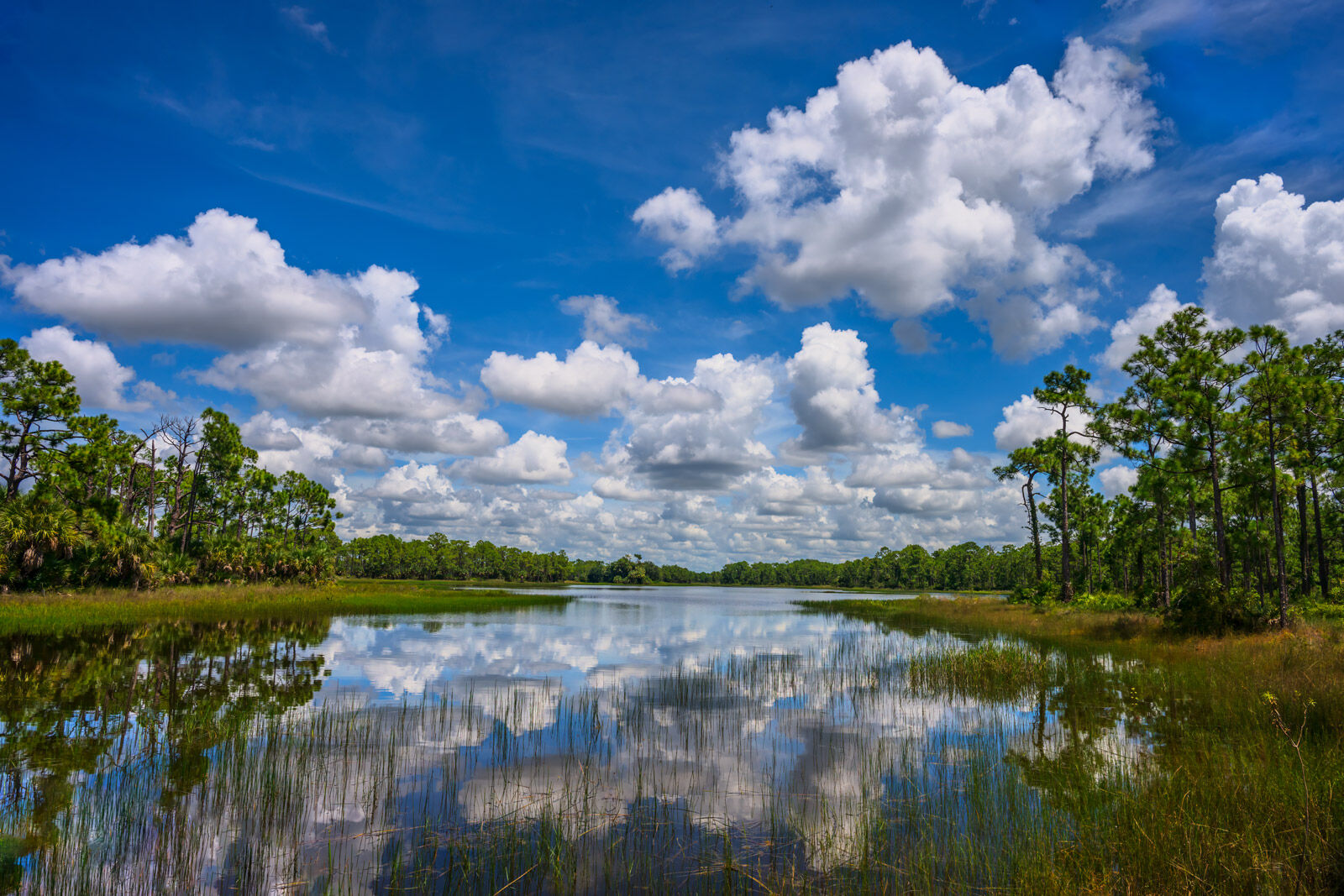 Lake Reflections Big white clouds against blue skies reflecting in a Florida lake