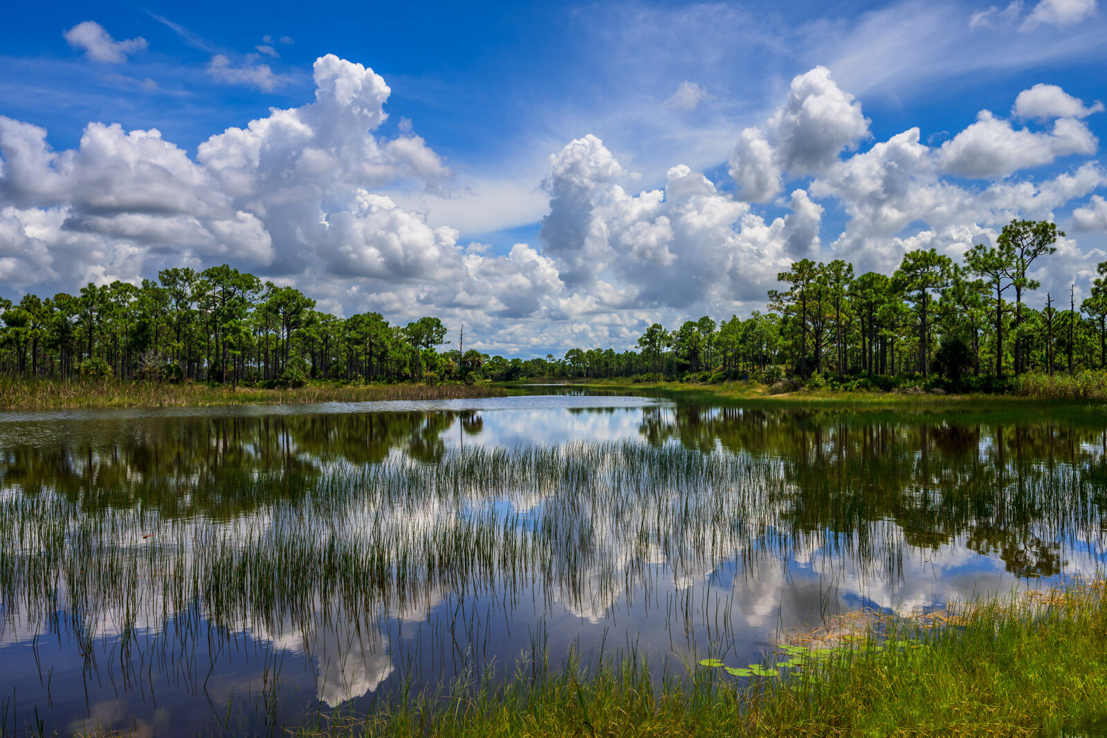 Webb Lake stunning white clouds and blue skies reflecting in Webb Lake, Florida
