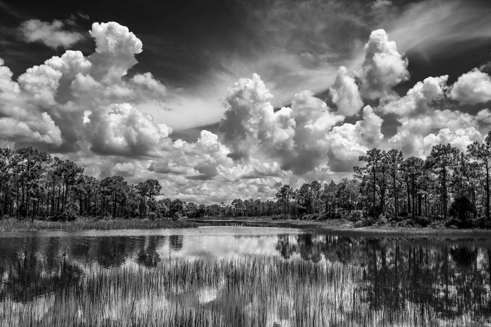 Webb Lake Drama - Black and White black and white view of big summer dramatic clouds over a lake in florida
