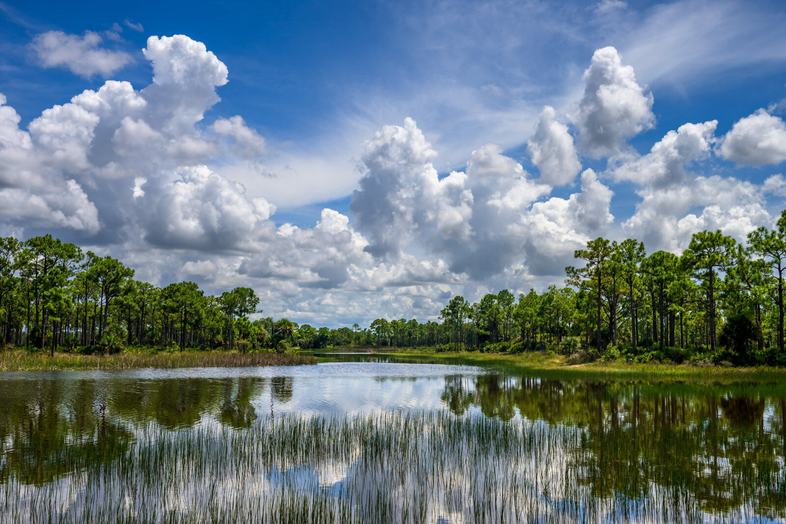 Webb Lake Drama dramaitc white clouds and blue skies over a calm lake in Florida