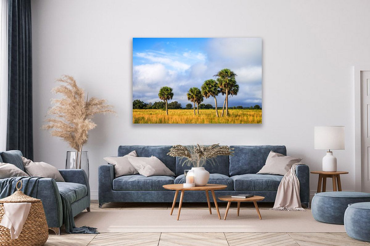 Florida photo print of sabal palms on a living room wall