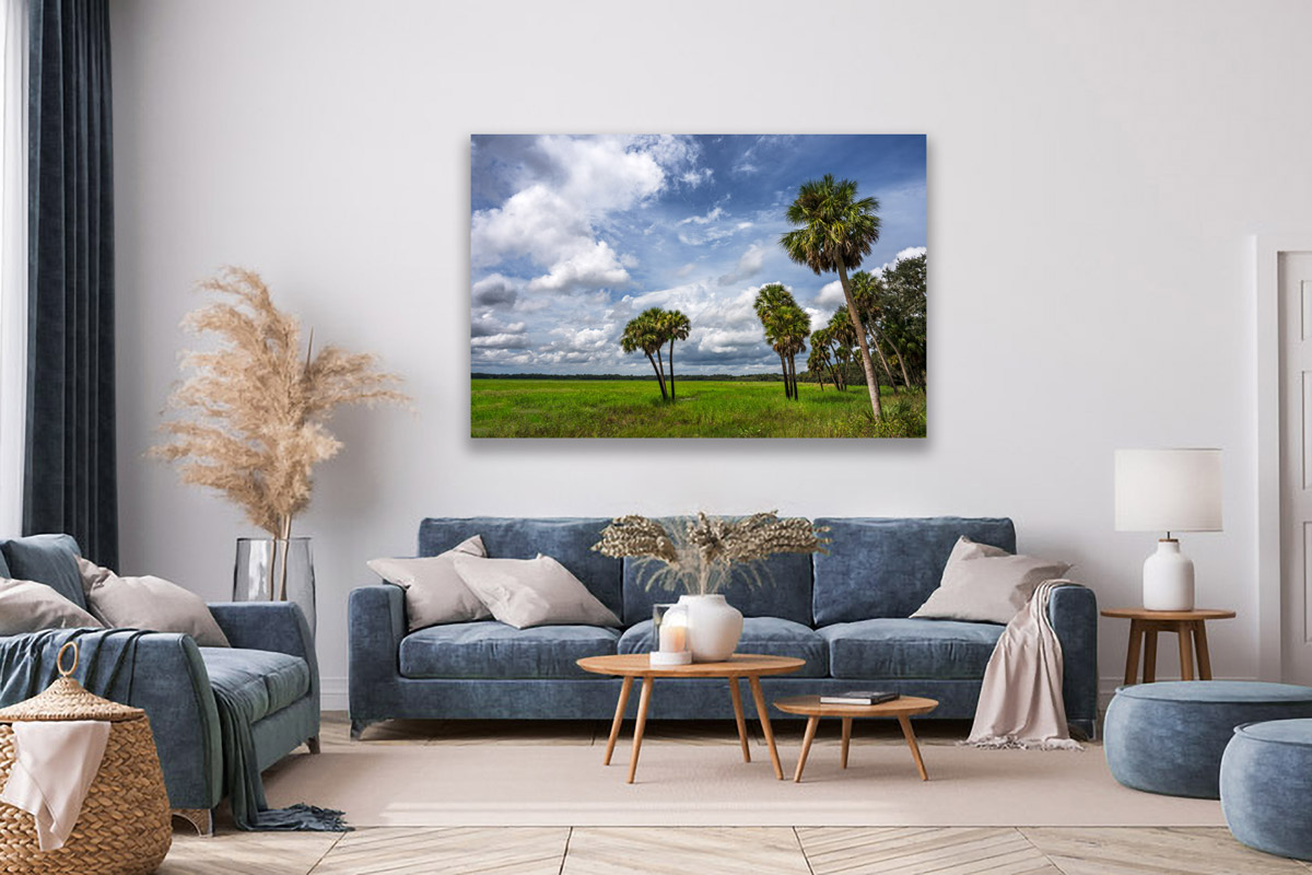 Myakka State Park photography print on a living room wall