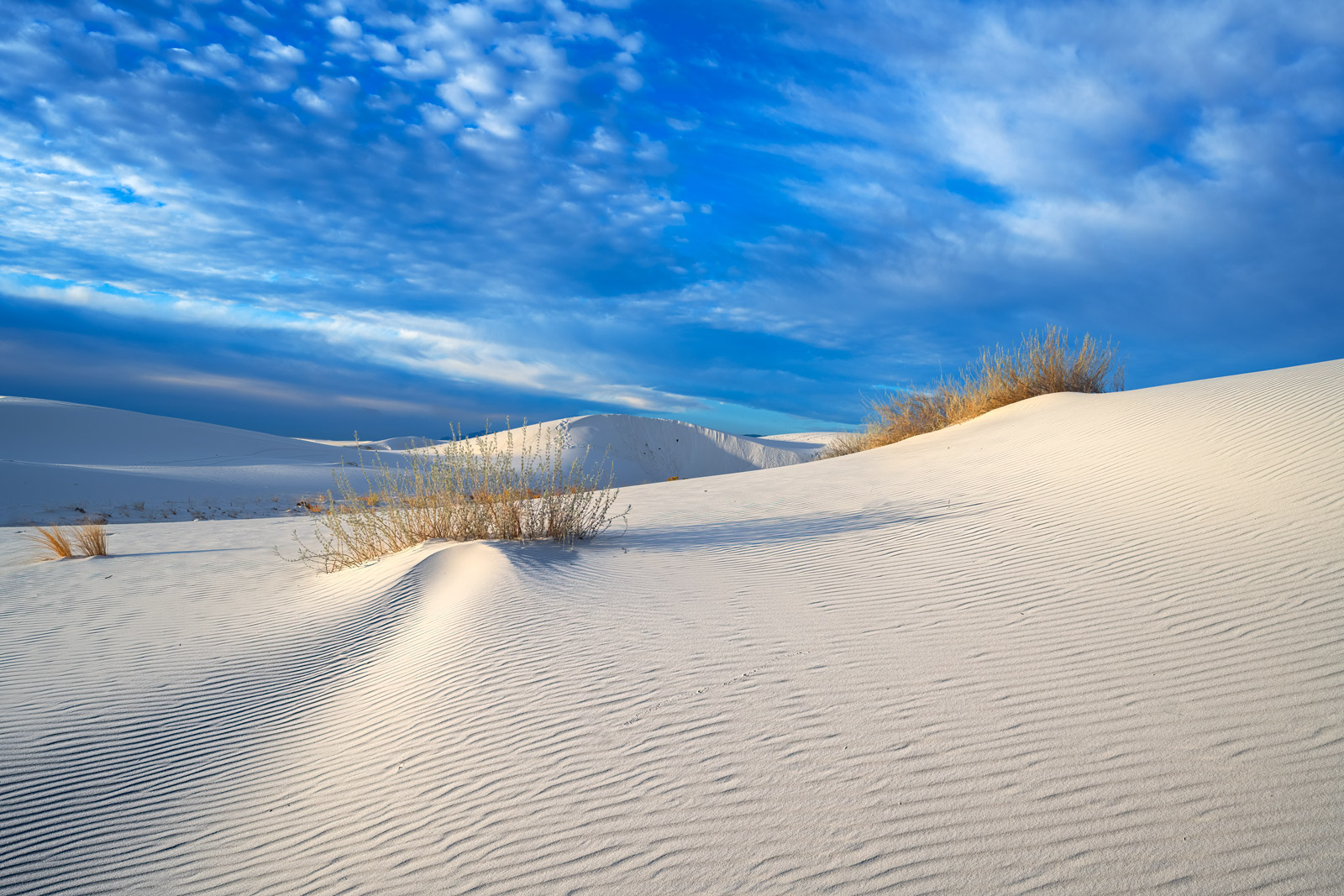 Shapes In The Sand Dunes White Sands Natl Park Photo Fine Art Prints Shapes In The Sand Dunes White Sands Natl Park Photo Fine Art Prints