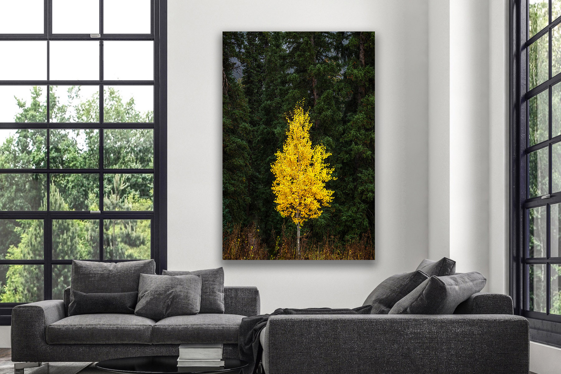 a lone yellow aspen tree against a dark background as a print on a wall