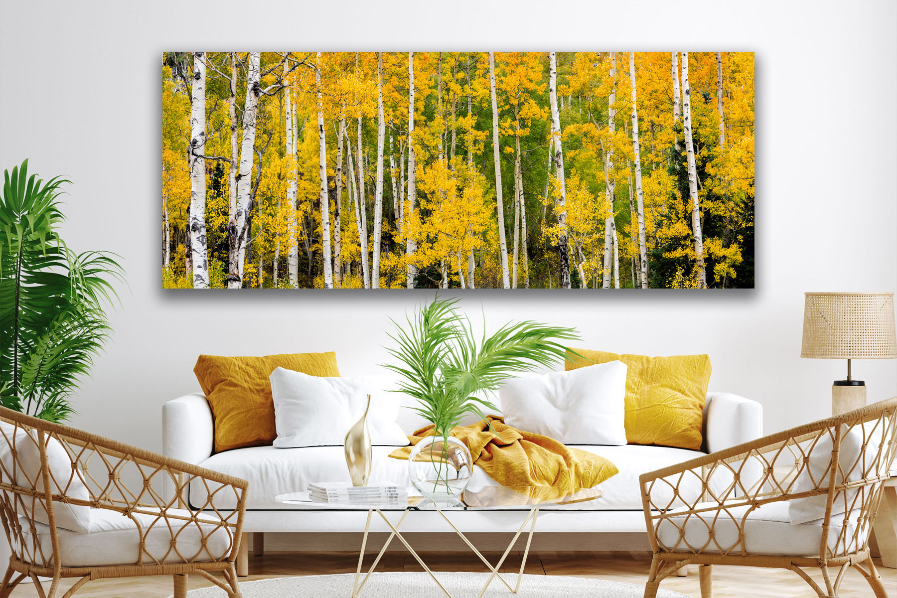 Panoramic view of Colorado Aspen trees in fall color as a fine art print on the wall